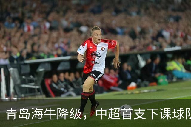青岛海牛降级，中超首支下课球队与宿命抗争的终章